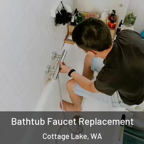  Bathtub Faucet Replacement Cottage Lake, WA
