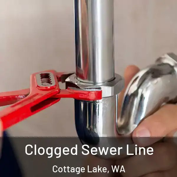  Clogged Sewer Line Cottage Lake, WA