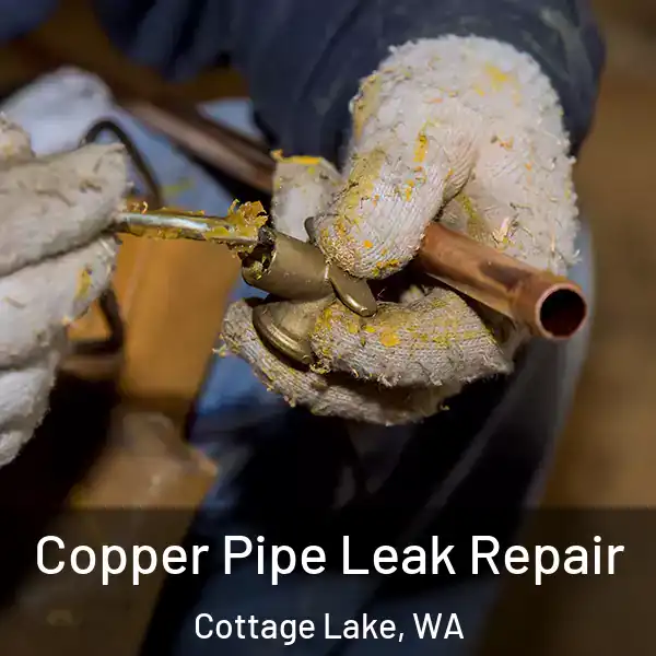  Copper Pipe Leak Repair Cottage Lake, WA