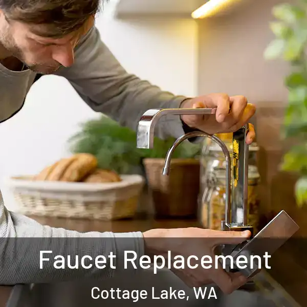  Faucet Replacement Cottage Lake, WA
