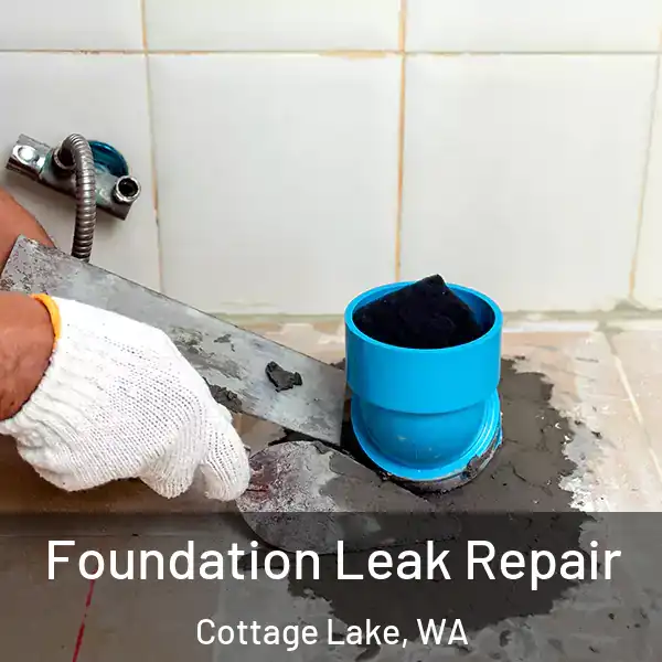  Foundation Leak Repair Cottage Lake, WA