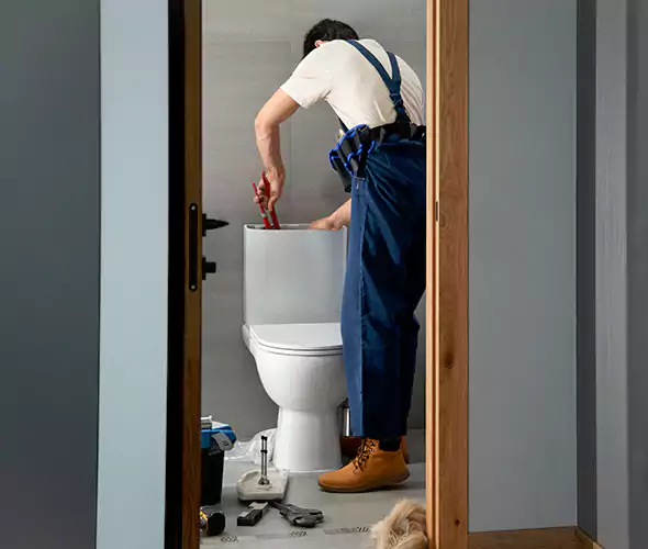 Professional Plumbers for Toilet Bowl Replacement in Cottage Lake, WA: Schedule Affordable Toilet Replacement Services With Us