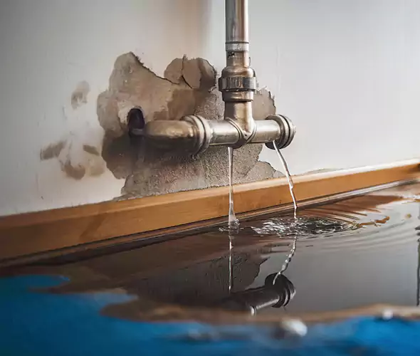 Professional Water Damage Restoration Experts in Cottage Lake, WA — Fast, Reliable & Certified