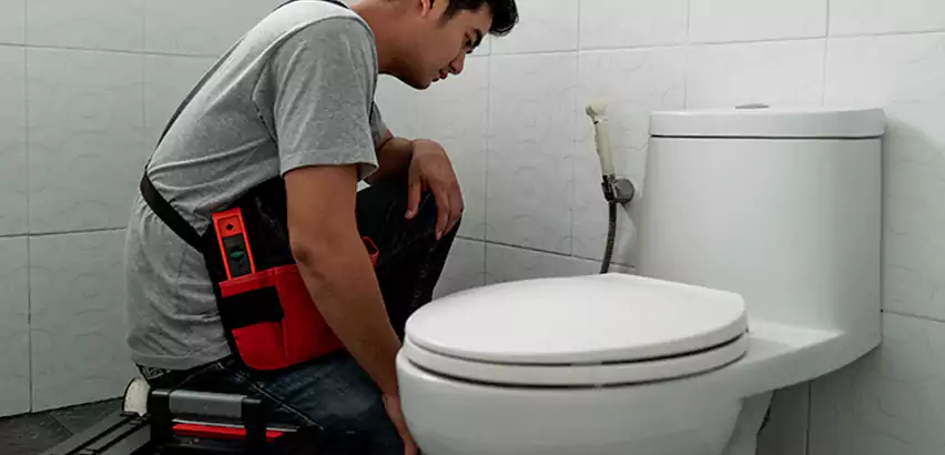 Toilet Repair in Cottage Lake
