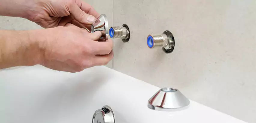 Bathtub Faucet Diverter Replacement in Cottage Lake