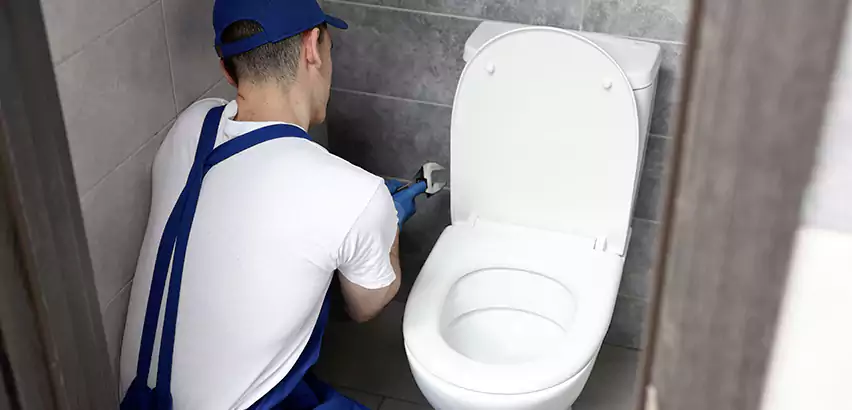 Toilet Lid Replacement in Cottage Lake