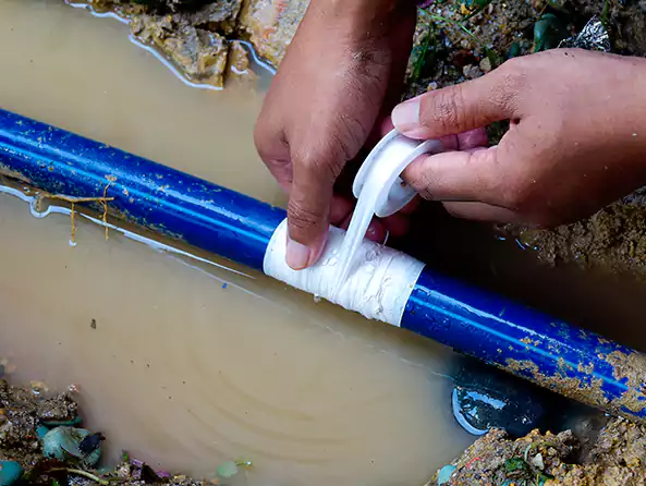 Why Choose Cottage Lake Plumber for Leak Detection in Cottage Lake, WA?]