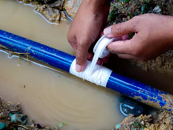  Why Choose Cottage Lake Plumber for Water Line Repair in Cottage Lake, WA?]
