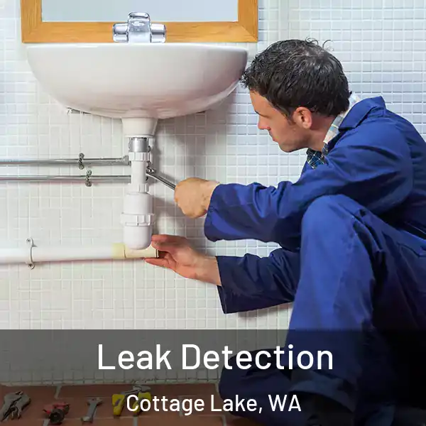  Leak Detection Cottage Lake, WA