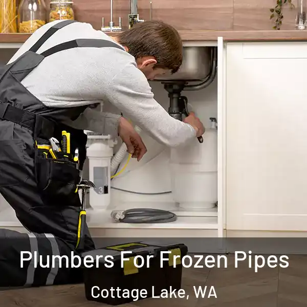  Plumbers For Frozen Pipes Cottage Lake, WA