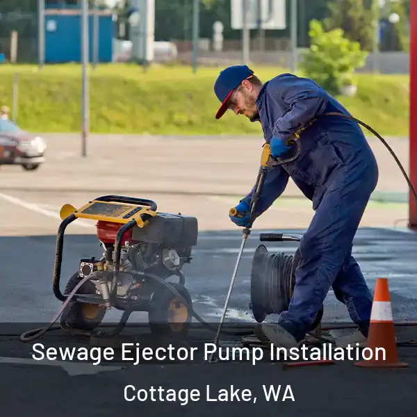  Sewage Ejector Pump Installation Cottage Lake, WA