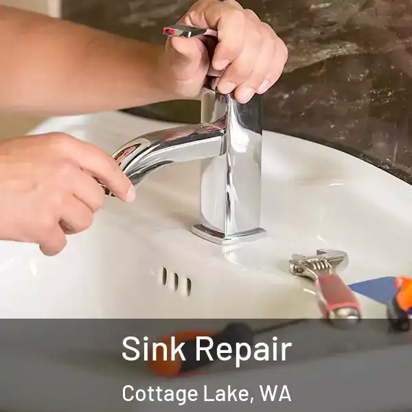  Sink Repair Cottage Lake, WA