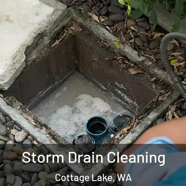  Storm Drain Cleaning Cottage Lake, WA
