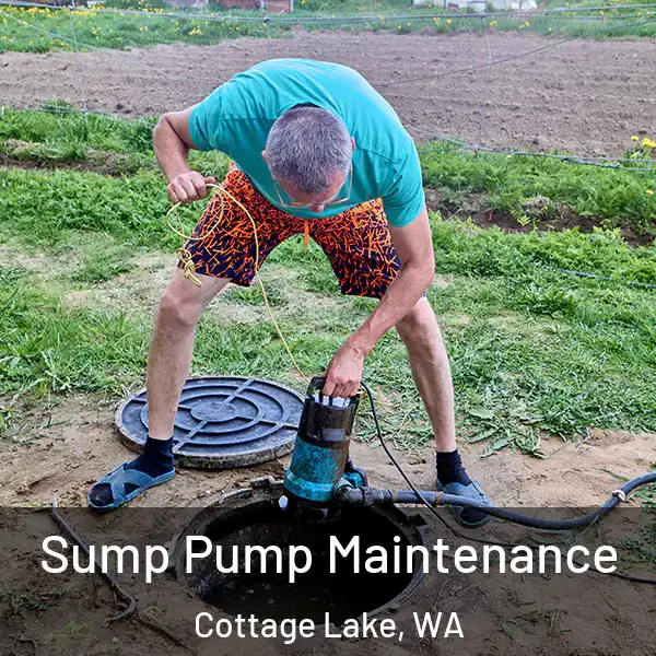  Sump Pump Maintenance Cottage Lake, WA