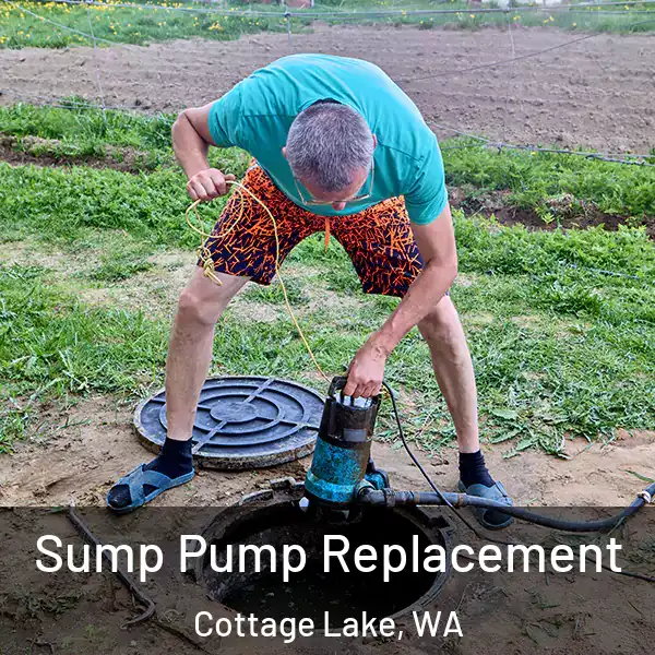  Sump Pump Replacement Cottage Lake, WA