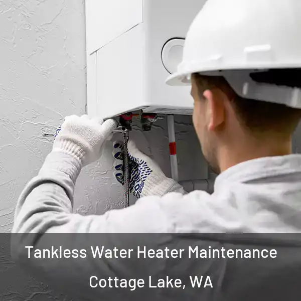  Tankless Water Heater Maintenance Cottage Lake, WA