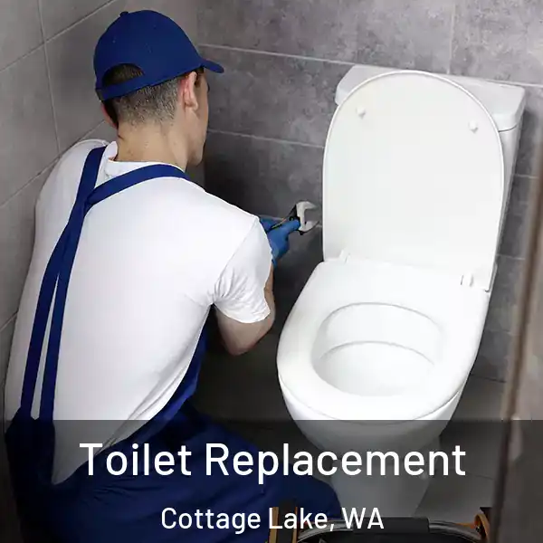  Toilet Replacement Cottage Lake, WA