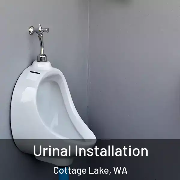  Urinal Installation Cottage Lake, WA