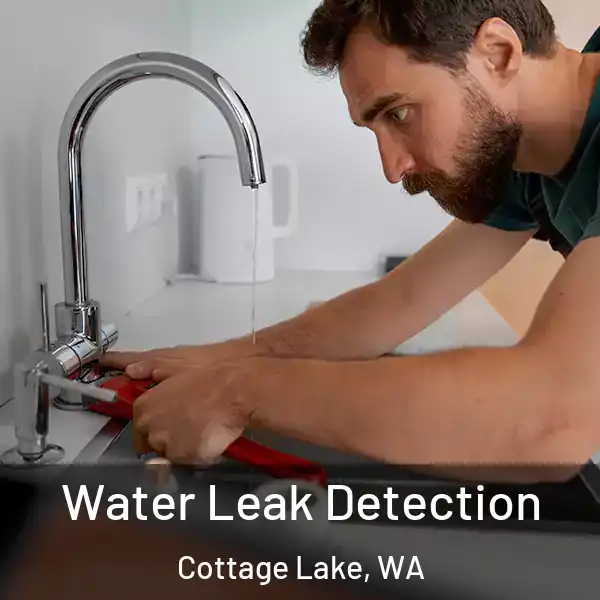  Water Leak Detection Cottage Lake, WA