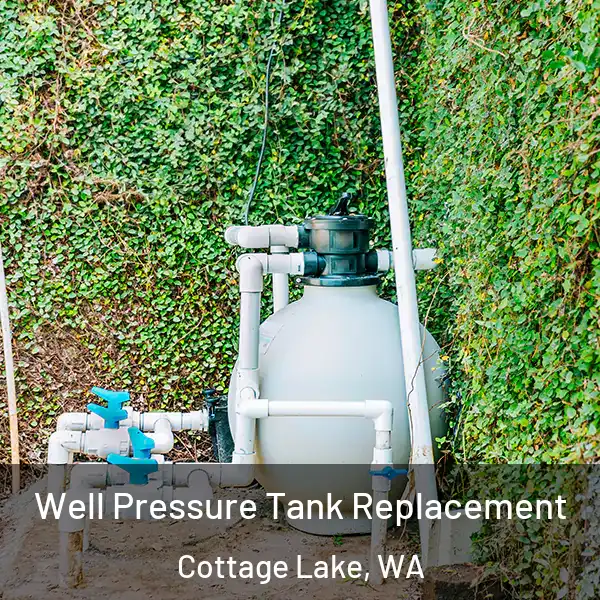  Well Pressure Tank Replacement Cottage Lake, WA